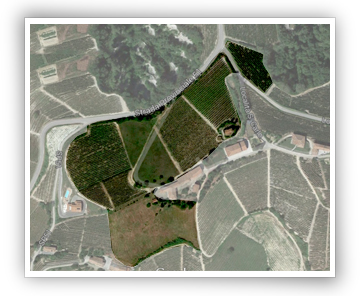 Vigna San Carlo
